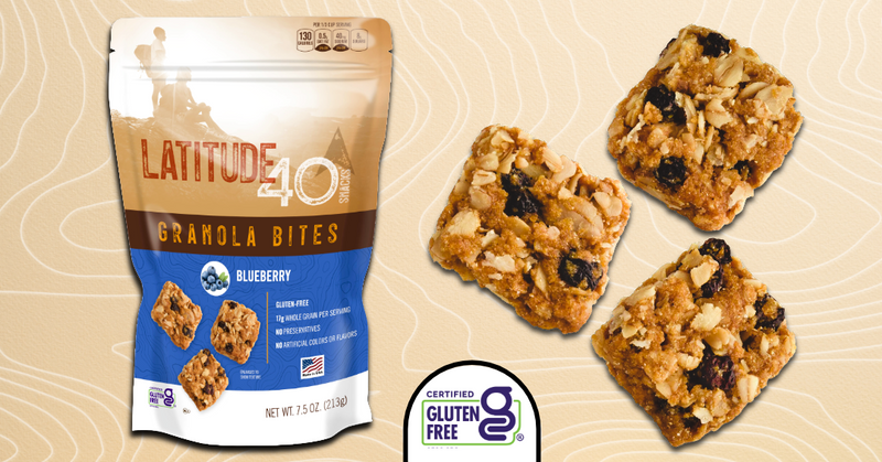 Blueberry Granola Bites | Latitude 40 Snacks